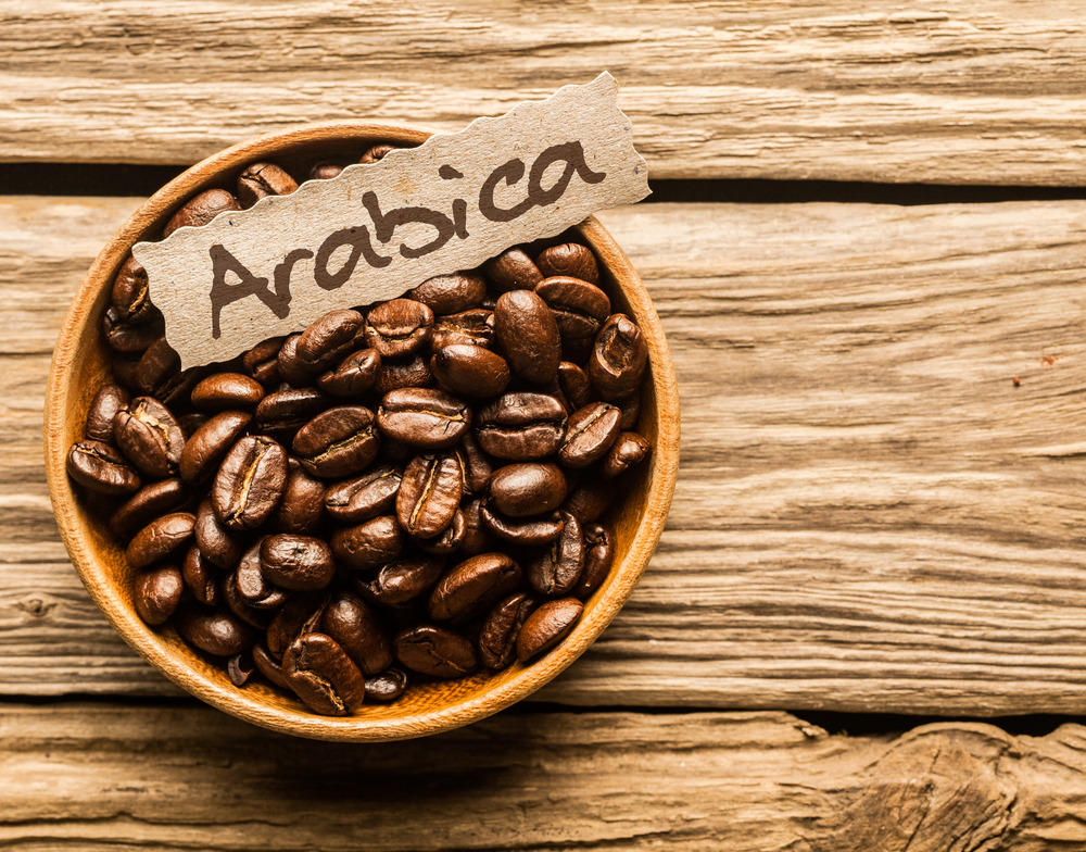 Arabica