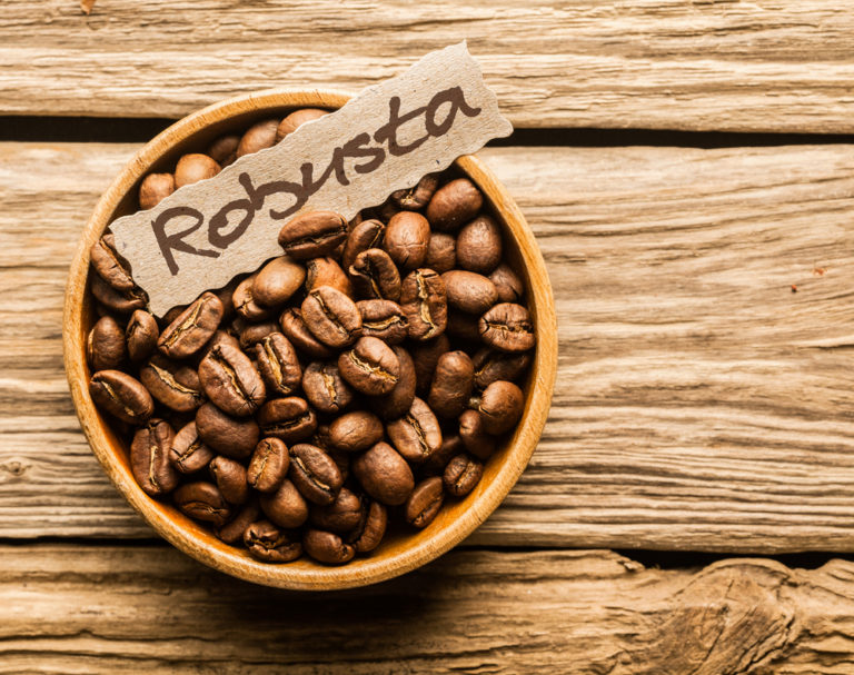 Robusta